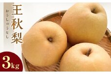 299.【先行予約】王秋梨 3kg前後  ※2025年10月下旬～12月上旬頃に順次発送予定【先行予約 梨 なし 果物 フルーツ くだもの 鳥取県 北栄町 おすすめ 人気 送料無料】