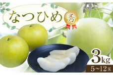 300.【先行予約】なつひめ ※2025年8月中旬～9月上旬頃に順次発送予定【先行予約 梨 なし 果物 フルーツ くだもの 鳥取県 北栄町 おすすめ 人気 送料無料】
