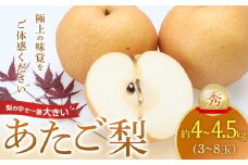 305.あたご梨 秀 約4kg以上～4.5kg未満（3～8玉前後）※2025年11月下旬～2026年2月中旬頃に順次発送予定【先行予約 梨 なし 果物 フルーツ くだもの 鳥取県 北栄町 おすすめ 人気 送料無料】