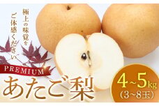 304.プレミアム あたご梨 4～5kg(3～8玉前後)梨の中でも一番巨大 鳥取県産 ※2025年11月下旬～2026年2月中旬頃に順次発送予定 【先行予約 梨 なし 果物 フルーツ くだもの 鳥取県 北栄町 おすすめ 人気 送料無料】