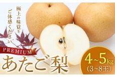 プレミアム あたご梨 4～5kg(3～8玉前後)梨の中でも一番巨大 鳥取県産 ※2025年11月下旬～2026年2月中旬頃に順次発送予定 【先行予約 梨 なし 果物 フルーツ くだもの 鳥取県 北栄町 おすすめ 人気 送料無料】