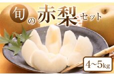 307.【先行予約】旬の赤梨セット 4～5kg前後 ※2025年8月下旬～12月下旬頃に順次発送予定 【先行予約 梨 なし 果物 フルーツ くだもの 鳥取県 北栄町 おすすめ 人気 送料無料】