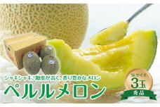 740.【先行予約】【JA】ペルルメロン 秀5L×3玉 ※離島への配送不可 ※2025年6月初旬頃～7月初旬頃に順次発送予定【メロン めろん フルーツ 果物 鳥取県 北栄町 おすすめ 人気】