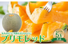 739.【先行予約】【JA】大栄メロン　プリモレッド（赤肉）赤秀3L×5玉 ※着日指定不可 ※離島への配送不可 ※2025年9月末頃～10月下旬頃に順次発送予定【メロン めろん フルーツ 果物 鳥取県 北栄町 おすすめ 人気】