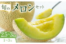 318.旬のメロンセット  ※6月上旬～7月下旬頃に順次発送予定【メロン 果物 フルーツ くだもの 鳥取県 北栄町 おすすめ 人気 送料無料】
