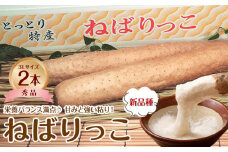 744.【JA】ねばりっこ 秀3L×2本 ※着日指定不可 ※離島への配送不可 ※順次発送予定【ねばりっこ 長いも 長芋 芋 鳥取県 北栄町 おすすめ 人気】