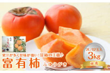748.【先行予約】【JA】富有柿 赤秀2L 3kg箱（12玉）※着日指定不可 ※離島への配送不可 ※2025年11月初旬頃～11月下旬頃に順次発送予定【柿 かき 大容量 果物 鳥取県 北栄町 おすすめ 人気】