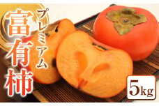 334. プレミアム 富有柿 5kg ※2025年11月上旬～12月上旬頃に順次発送予定【柿 カキ フルーツ 果物 くだもの 鳥取県 北栄町 おすすめ 人気 送料無料】