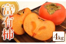 335.富有柿１箱　※2025年11月上旬～12月上旬頃に順次発送予定【柿 カキ フルーツ 果物 くだもの 鳥取県 北栄町 おすすめ 人気 送料無料】