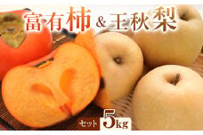 【先行予約】富有柿と王秋梨のセット 5kg前後 ※2025年11月上旬～12月上旬頃に順次発送予定【先行予約 梨 なし 柿 カキ フルーツ 果物 くだもの 鳥取県 北栄町 おすすめ 人気 送料無料】