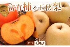【先行予約】富有柿と王秋梨の3kgセット ※2025年11月上旬～12月上旬頃に順次発送予定【先行予約 梨 なし 柿 カキ フルーツ 果物 くだもの 鳥取県 北栄町 おすすめ 人気 送料無料】