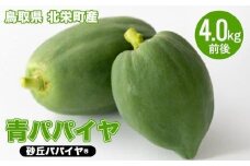 354.青パパイヤ（砂丘パパイヤ）4.0kg前後　※2025年9月中旬～11月下旬頃に順次発送予定※離島への配送不可