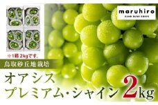 542.【先行予約】オアシス・プレミアム・シャイン 2kg（鳥取砂丘地栽培） ※2025年8月下旬頃～10月下旬頃に順次発送 【シャインマスカット マスカット 葡萄 ブドウ ぶどう 産地直送 フルーツ 果物 甘い 鳥取県 北栄町 おすすめ 人気】