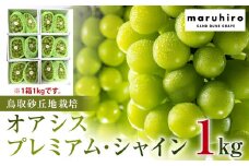 563.【先行予約】オアシス・プレミアム・シャイン 1kg（鳥取砂丘地栽培）※2025年8月下旬頃～10月下旬頃に順次発送【シャインマスカット マスカット 葡萄 ブドウ ぶどう 産地直送 フルーツ 果物 甘い 鳥取県 北栄町 おすすめ 人気】