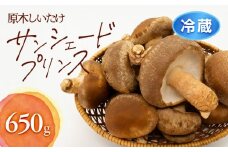 352.【冷蔵】原木しいたけ サンシェードプリンス　※北海道・沖縄・離島 以外への配送　※2025年12月中旬～2026年2月上旬頃に順次発送予定｜しいたけ 椎茸 野菜 きのこ 新鮮 肉厚 旨味 北栄町 鳥取県 おすすめ 人気