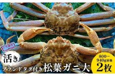 105.【先行予約】【活き】ブランドタグ付き松葉ガニ 大　800～940g前後 2枚 ※2025年11月上旬～2026年3月上旬頃に順次発送予定【松葉ガニ 松葉蟹 蟹 かに 甲殻類 ズワイガニ 鳥取県 北栄町 おすすめ 人気 送料無料】