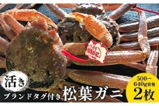 106.【先行予約】【活き】ブランドタグ付き松葉ガニ 500～640g前後 2枚 ※2025年11月上旬～2026年3月上旬頃に順次発送予定【松葉ガニ 松葉蟹 蟹 かに 甲殻類 ズワイガニ 鳥取県 北栄町 おすすめ 人気 送料無料】