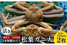 112.【先行予約】【活き】訳あり ご自宅用日本海獲れたて松葉ガニ 大 800～940g前後 2枚 ※2025年11月上旬～2026年3月上旬頃に順次発送予定【家庭用 松葉ガニ 松葉蟹 蟹 かに 甲殻類 ズワイガニ 鳥取県 北栄町 おすすめ 人気 送料無料】