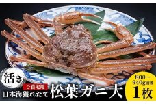 113.【先行予約】【活き】訳あり ご自宅用 日本海獲れたて 松葉ガニ 大 800～940g前後 1枚 ※2025年11月上旬～2026年3月上旬頃に順次発送予定【家庭用 松葉ガニ 松葉蟹 蟹 かに 甲殻類 ズワイガニ 鳥取県 北栄町 おすすめ 人気 送料無料】