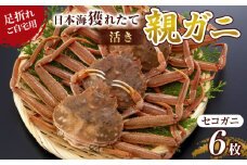 120.【先行予約】【活き】訳あり 足折れ ご自宅用 日本海獲れたて親ガニ（セコガニ）6枚 ※2025年11月上旬～12月下旬頃に順次発送予定【家庭用 松葉ガニ 松葉蟹 蟹 かに 甲殻類 ズワイガニ 鳥取県 北栄町 おすすめ 人気 送料無料】