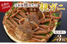 121.【先行予約】【活き】訳あり 足折れ ご自宅用 日本海獲れたて親ガニ（セコガニ）3枚 ※2025年11月上旬～12月下旬頃に順次発送予定【家庭用 松葉ガニ 松葉蟹 蟹 かに 甲殻類 ズワイガニ 鳥取県 北栄町 おすすめ 人気 送料無料】