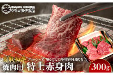 56.鳥取和牛 焼肉用特上赤身肉 300g【国産 鳥取和牛 和牛 焼肉 肉 にく 鳥取県 北栄町 おすすめ 人気】 