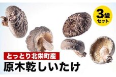 777.とっとり北栄町産 原木乾しいたけ3袋セット ※着日指定不可 ※2025年4月上旬～9月下旬頃に順次発送予定｜しいたけ 椎茸 野菜 きのこ 新鮮 肉厚 旨味 北栄町 鳥取県 おすすめ 人気