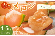 782.赤肉メロン「マルセイユ」※着日指定不可 ※5月20日～6月30日頃に順次発送予定【メロン 果物 フルーツ くだもの 鳥取県 北栄町 おすすめ 人気 送料無料】