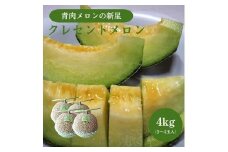 785.【先行予約】青肉メロンの新星「クレセントメロン」うれしい！3~4玉入　※2026年７月中旬より順次発送