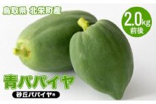 781.青パパイヤ（砂丘パパイヤ）2.0kg前後※2025年9月中旬～11月下旬頃に順次発送予定※離島への配送不可