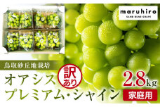 914.【先行予約】シャインマスカット 訳あり 家庭用 鳥取砂丘地産 2.8kg（350g×8パック） ※離島への配送不可 ※2025年8月下旬頃～10月下旬頃に順次発送【シャインマスカット マスカット 葡萄 ブドウ ぶどう 産地直送 フルーツ 果物 甘い 鳥取県 北栄町 おすすめ 人気】