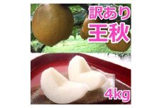 【訳あり】王秋梨 4kg（4～13玉前後）※2025年10月下旬～12月上旬頃に順次発送予定【先行予約 梨 なし 果物 フルーツ くだもの 鳥取県 北栄町 おすすめ 人気 送料無料】