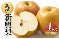 927.【訳あり】新興梨 4kg（4～16玉前後）※2025年10月上旬～11月下旬頃に順次発送予定【先行予約 梨 なし 果物 フルーツ くだもの 鳥取県 北栄町 おすすめ 人気 送料無料】