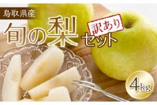 【訳あり】鳥取県産旬の梨セット 4kg ※2025年8月下旬頃～12月下旬頃に順次発送予定【先行予約 梨 なし 果物 フルーツ くだもの 鳥取県 北栄町 おすすめ 人気 送料無料】