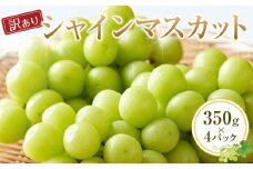 929.【訳あり】シャインマスカット 350g×4パック ※2025年8月下旬頃～9月下旬頃に順次発送予定【先行予約 シャインマスカット マスカット 葡萄 ぶどう 果物 フルーツ くだもの 鳥取県 北栄町 おすすめ 人気 送料無料】