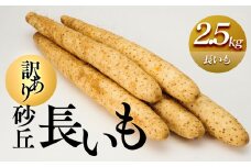 943.≪先行受注≫【訳あり】砂丘長いも2.5kg  長芋 ながいも 鳥取県産 ※11月上旬頃～3月下旬頃に順次発送予定【野菜 やさい 根菜 とろろ 長芋 芋 いも 鳥取県 北栄町 おすすめ 人気 送料無料】