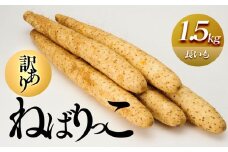 942.≪先行受注≫【訳あり】ねばりっこ1.5kg 長芋 ながいも 鳥取県産 ※期間限定11月上旬から4月中旬頃に順次発送予定【野菜 やさい 根菜 とろろ 長芋 芋 いも 鳥取県 北栄町 おすすめ 人気 送料無料】