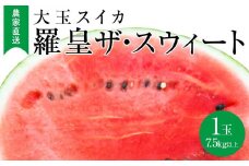 623.【先行予約】大玉スイカ『羅皇ザ・スウィート』（こちらの西瓜は大栄西瓜ではありません） ◇2025年7月上旬～7月中旬頃に順次発送【西瓜 すいか スイカ フルーツ 果物 鳥取県 北栄町 おすすめ 人気】