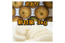 954.【訳あり】新甘泉 3kg（梨）※8月下旬頃～9月中旬頃に順次発送【先行予約 梨 なし 果物 フルーツ くだもの 鳥取県 北栄町 おすすめ 人気 送料無料】