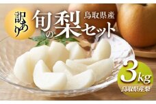 949.【訳あり】鳥取県産旬の梨セット 3kg【家庭用 先行予約 梨 なし 果物 フルーツ くだもの 鳥取県 北栄町 おすすめ 人気 送料無料】