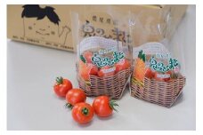 347.鬼のとまと◇　※2025年6月上旬～10月下旬頃に順次発送予定