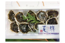 127.【2026年6月上旬以降発送 先行予約】鳥取県産　天然　岩ガキ『夏輝』　10個（300g以上×10個） 牡蠣 カキ※着日指定不可※2026年6月上旬～8月下旬頃に順次発送予定 【牡蠣 かき 岩ガキ いわがき 甲殻類 新鮮 鳥取 北栄町 おすすめ 人気】