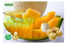 925.【ふるさと納税】【赤肉系メロン】プリモレッド (メロン) と旬の梨セット※離島への配送不可（北海道、沖縄本島は配送可能）