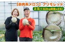 808.【赤肉系メロン】プリモレッド×２玉（1玉2kg前後×2玉）※離島への配送不可