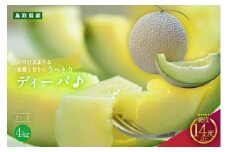 920.【青肉系メロン】ディーバ×２玉（1玉2kg前後×2玉）※離島への配送不可（北海道、沖縄本島は配送可能）