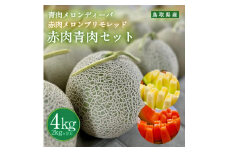 956.【ふるさと納税】青肉メロンディーバと赤肉メロンプリモレッドのセット ※日本全国配送可能  2025年10月上旬頃～11月上旬頃に順次発送予定
