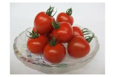 1013.【先行予約】【JA】ナンチューうまいトマト（中玉トマト）　A・250ｇ×8袋　※着日指定不可　※離島への配送不可　※2025年9月上旬頃～10月末頃に順次発送予定