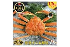 ＜10/1～寄附額改定＞【ボイル】鳥取ブランド　松葉ガニ『五輝星』※2025年11月上旬～2026年3月下旬頃に順次発送予定※着日指定不可