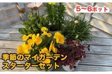 809.季節のマイガーデン・スターターセット　※離島への配送不可