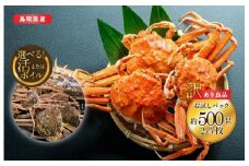 923.【ボイル】鳥取県産　訳あり　良品セコガニ　お試しパック　約500ｇ（2～4枚）《かに カニ 蟹 セコガニ》※2025/11/6～2025/12/29に順次発送予定※着日指定不可  離島不可（北海道、沖縄本島は配送可能）